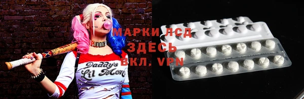 твердый Абаза