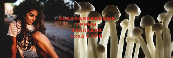 ALPHA-PVP Алексеевка
