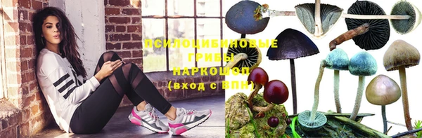 Альфа ПВП Абинск